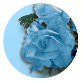 DAROUND 061 Bouquet Of Roses Blue